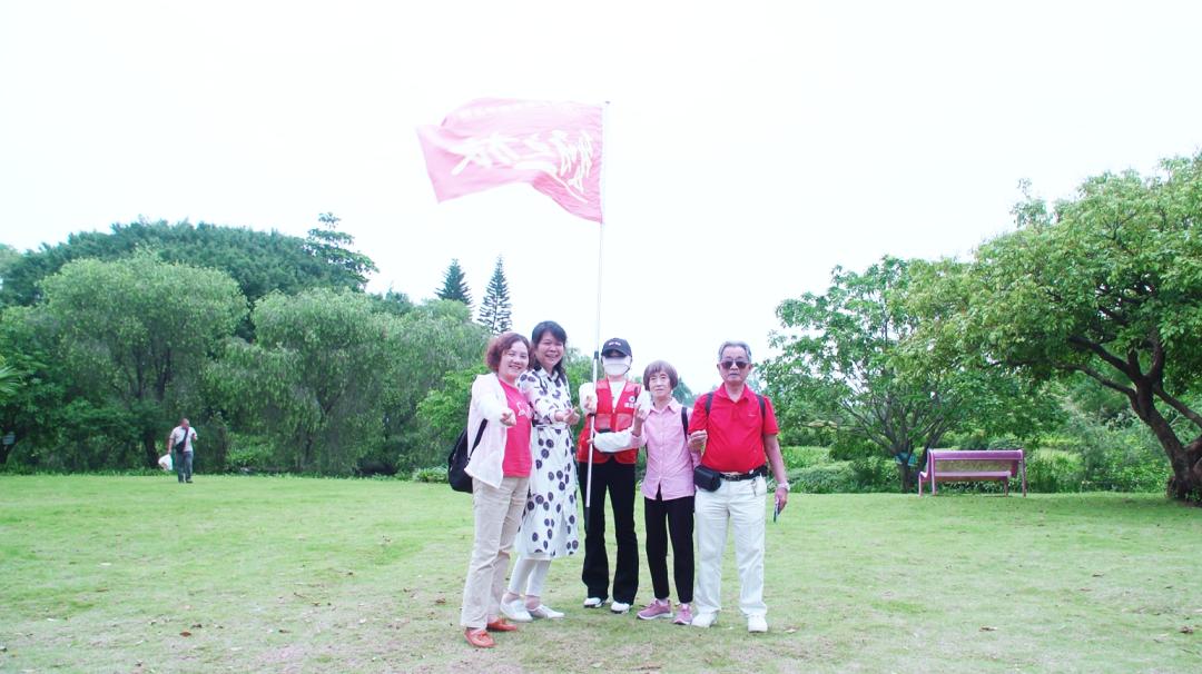 爱牙护牙健康知识优质课,爱牙护牙去哪里学习