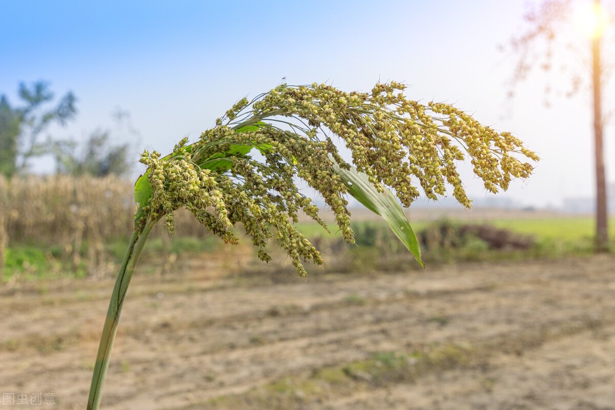 农村坟地改革如何对待原有的坟地,农村老坟地怎么处理