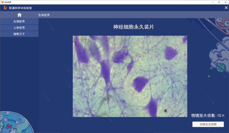 理化生实验室,理化实验室简介