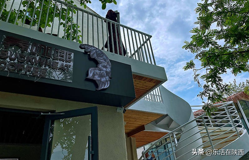 蓝田荞麦花海和高山草甸,西安荞麦花海旅游