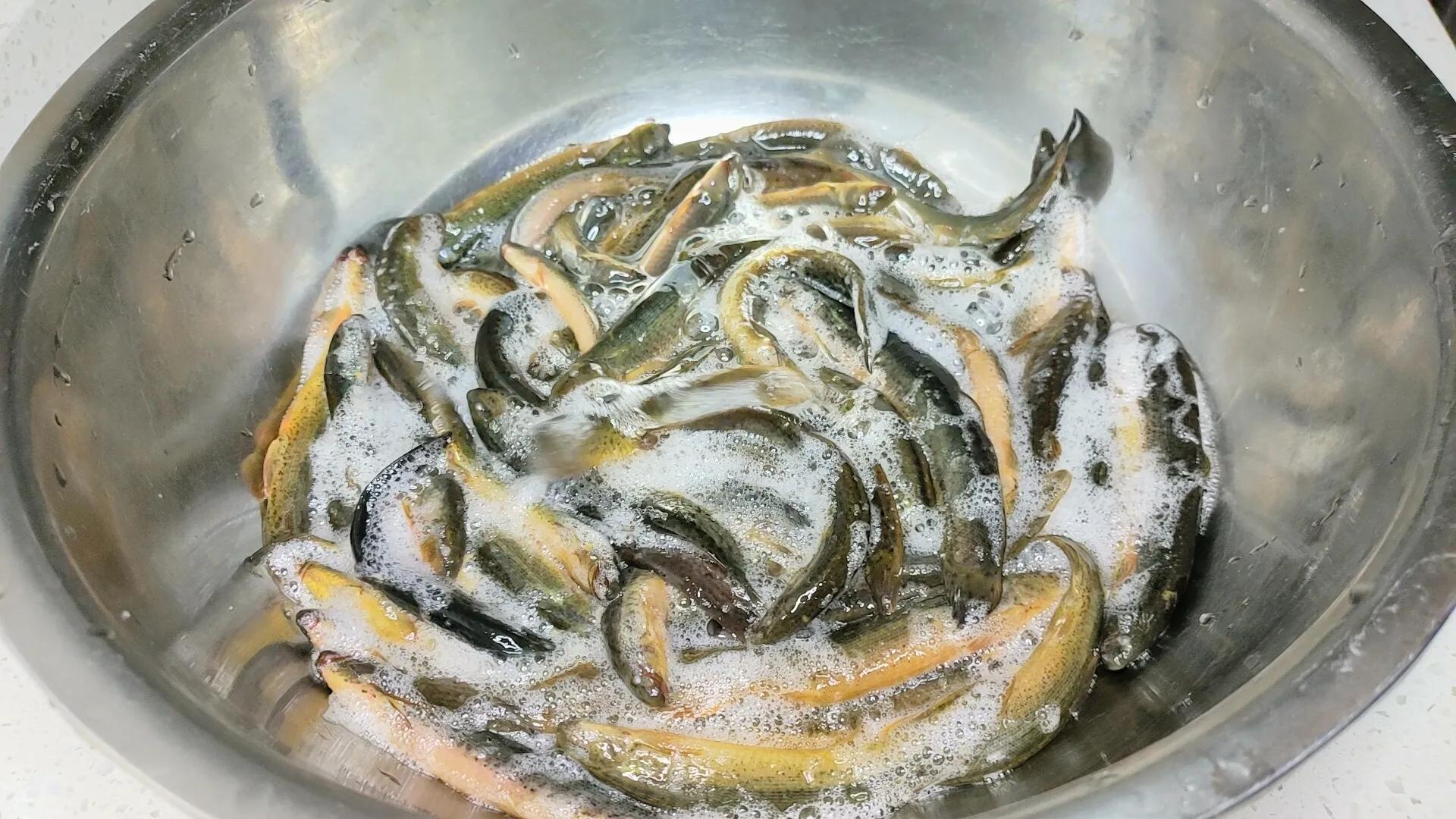 大厨做红烧泥鳅最正宗的做法,教你秘制的泥鳅做法美味下饭