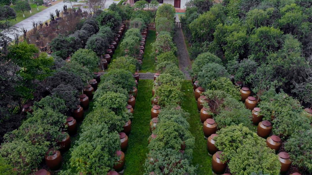 这瓶“小金花”,如何在江苏市场过亿?