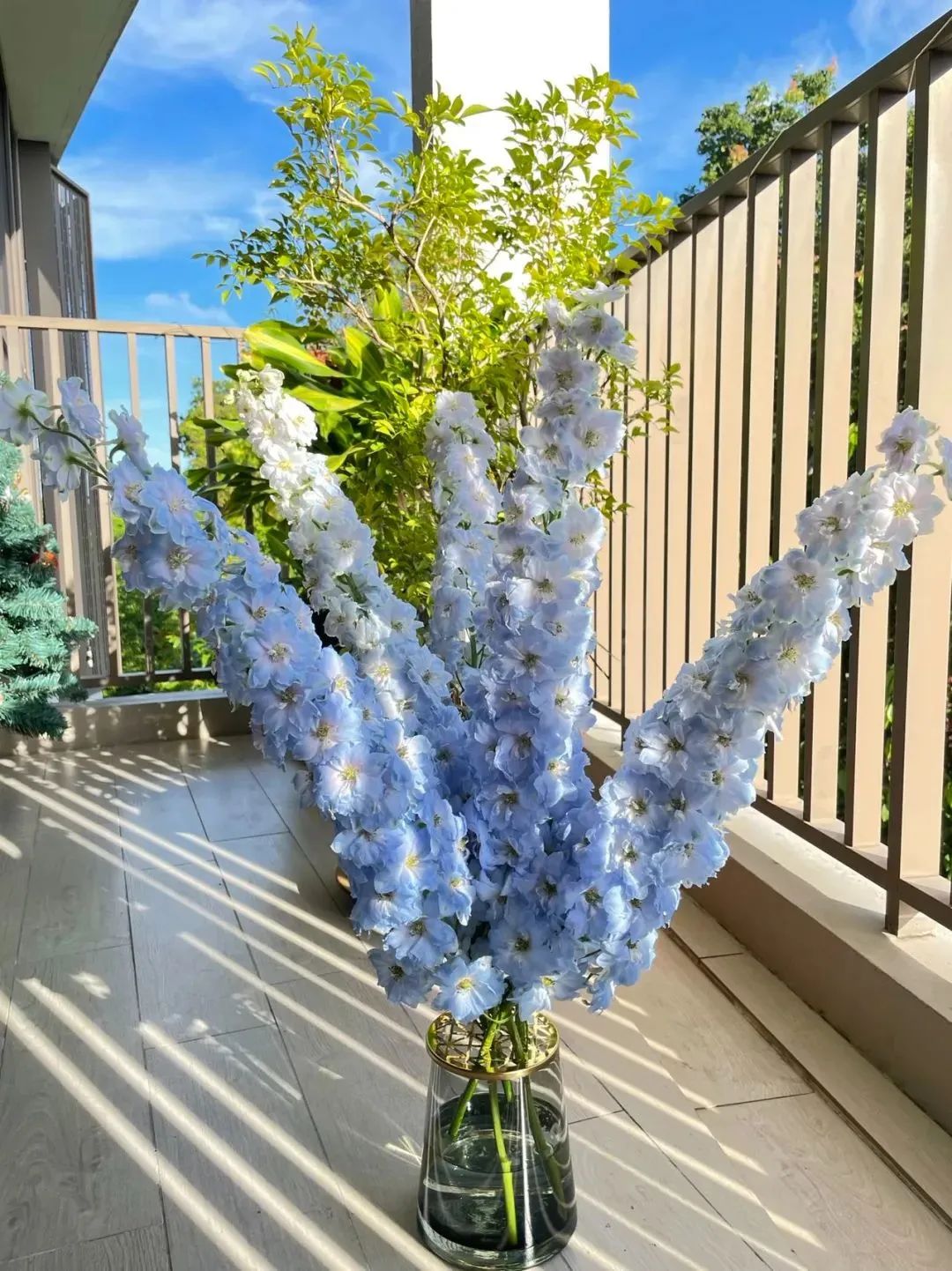 新手必看鲜花养护攻略,鲜花在水里能养几天会死