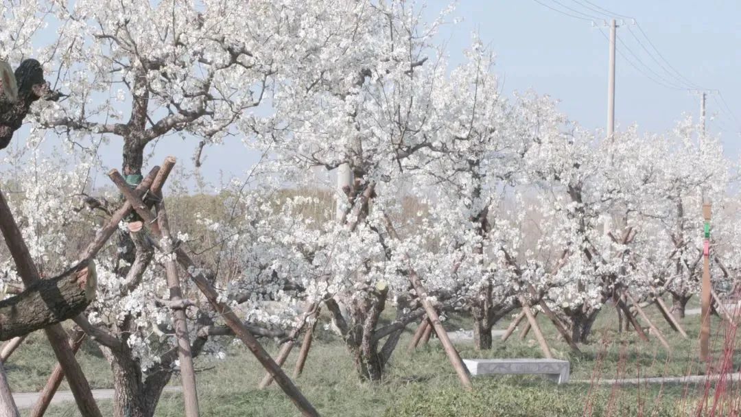 响水县响水镇新闻,响水城市名片