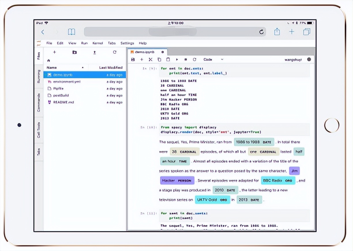 ipad有写python的软件吗,ipad适合python吗