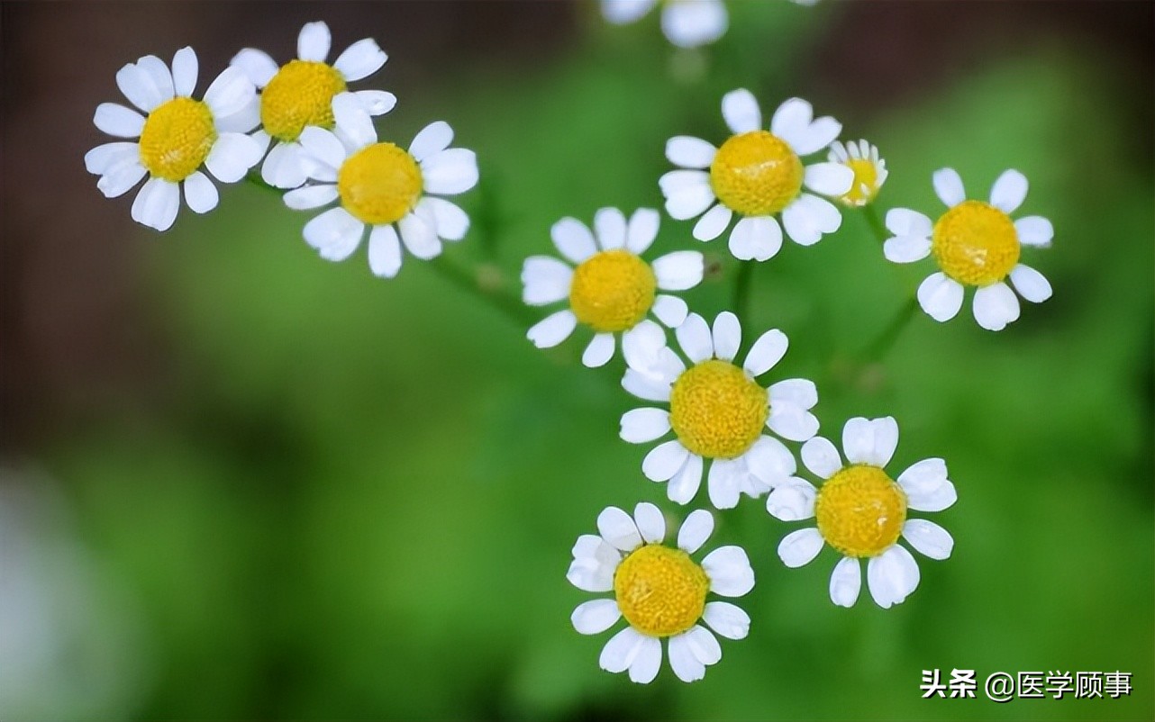 汉朝的气候变迁与王朝兴衰,气候变迁与王朝兴衰书籍