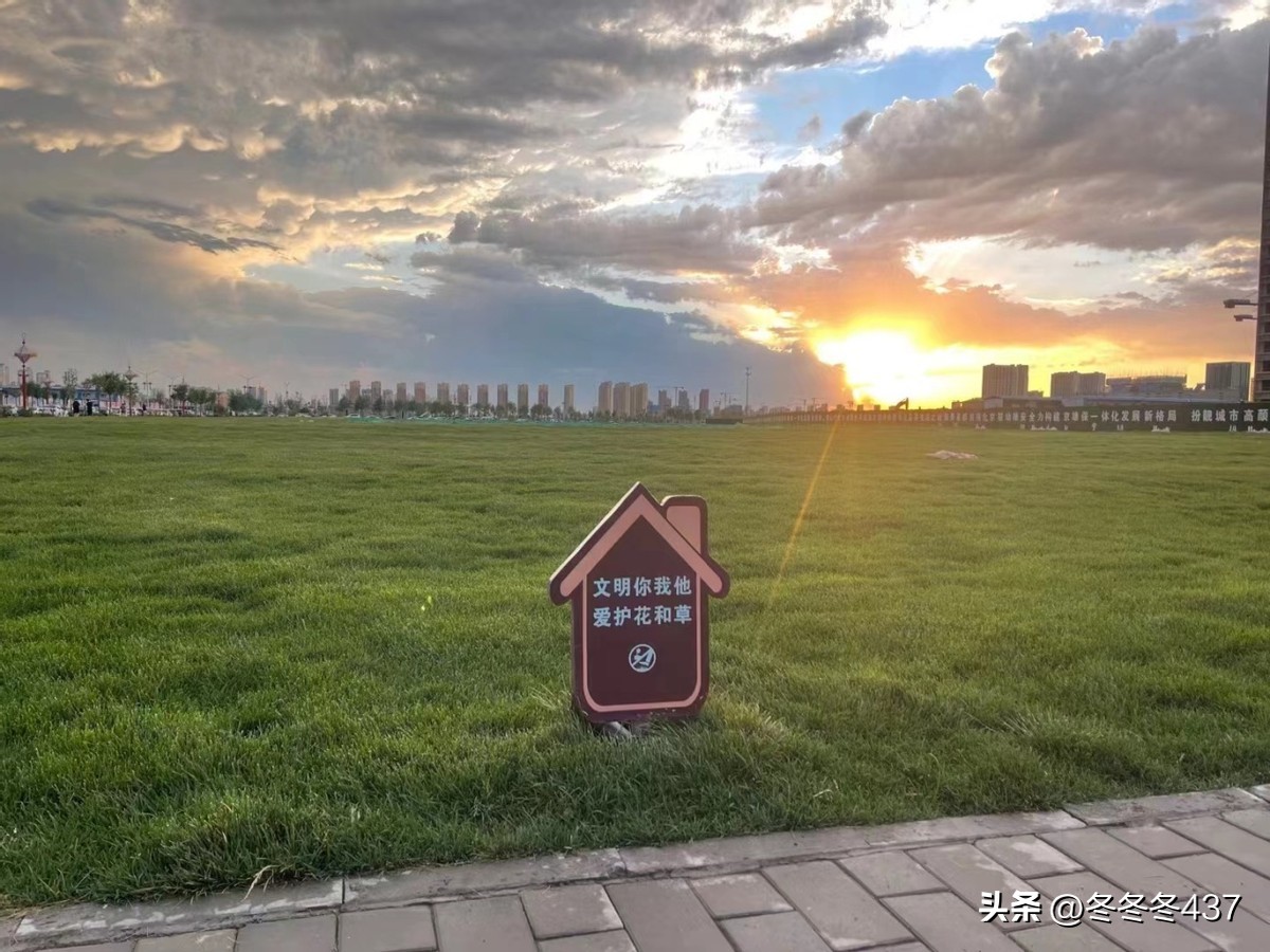 鍦ㄤ繚瀹氫拱鎴跨殑鐪熷疄鎰熷彈,鍦ㄤ繚瀹氫拱鎴跨殑鐪熷疄鎰熷彈2020