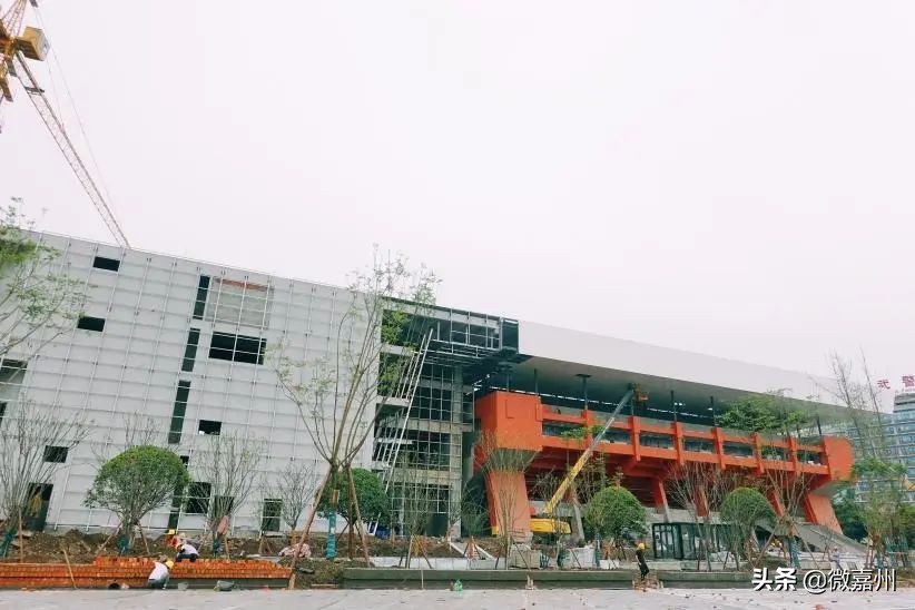 我为通江代言,我为巴中代言