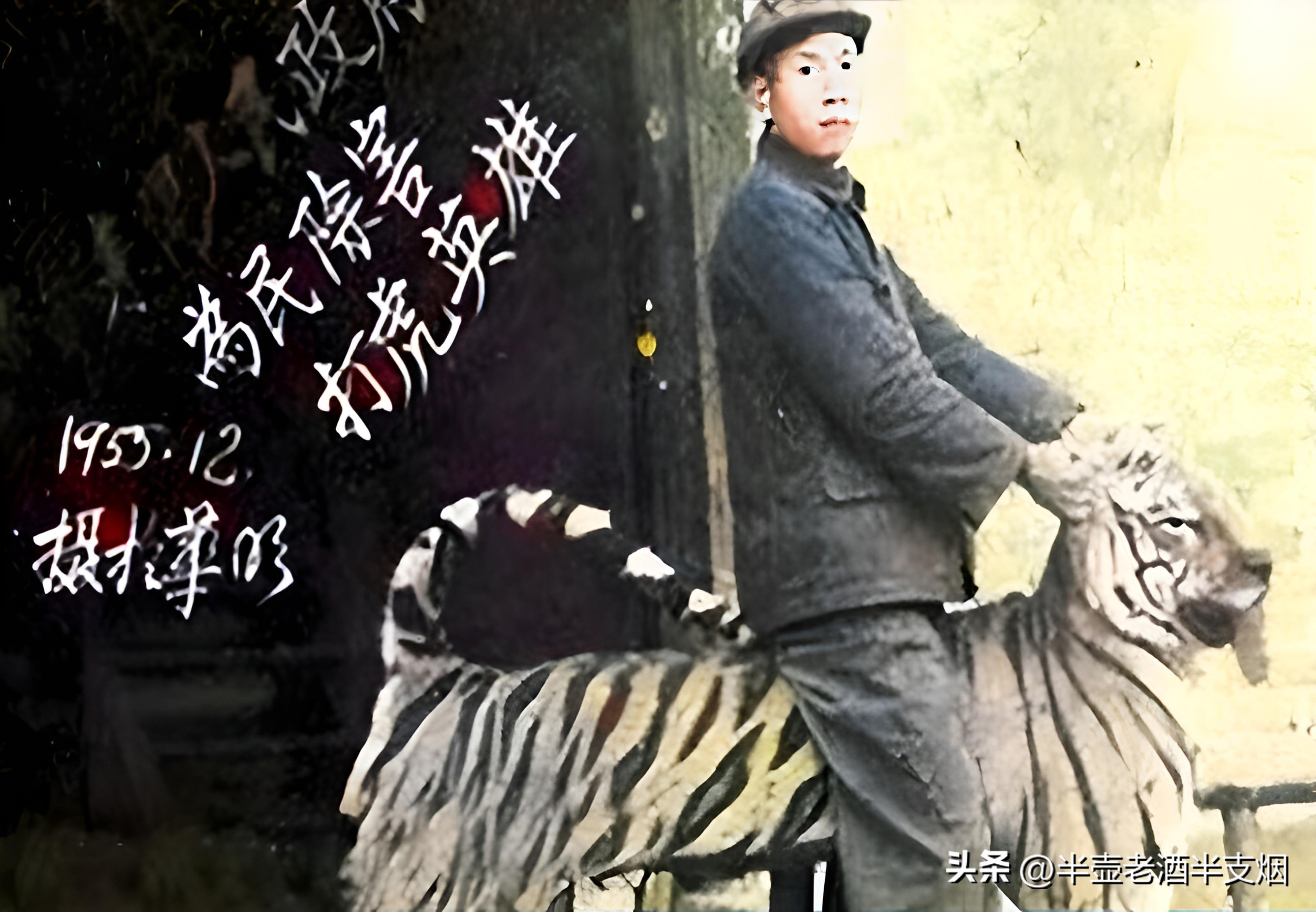 三国所有人物的五虎上将,三国五虎大将打虎事迹