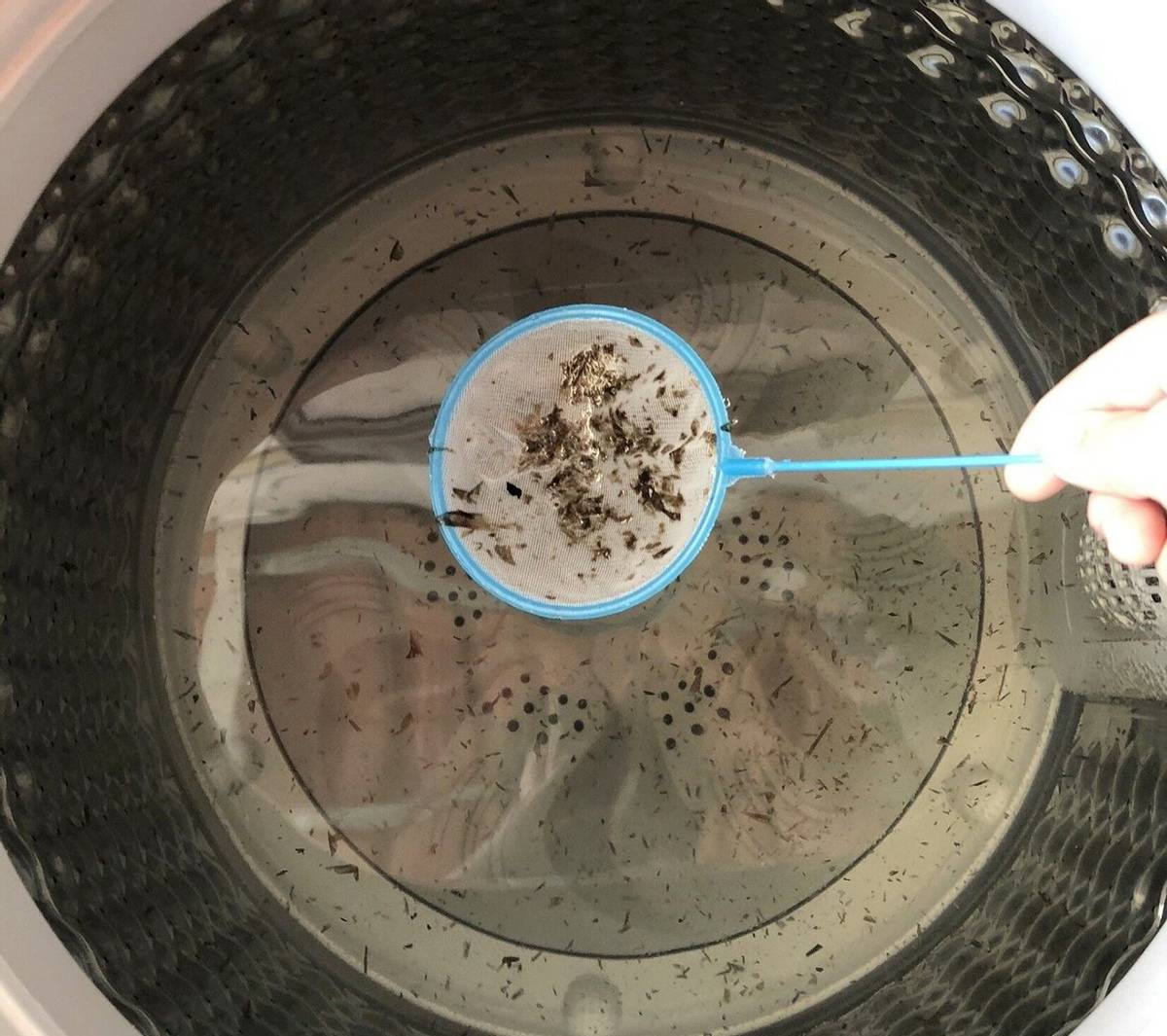 贴身衣物第一次怎么清洗,女性的贴身衣物怎么清洗好点