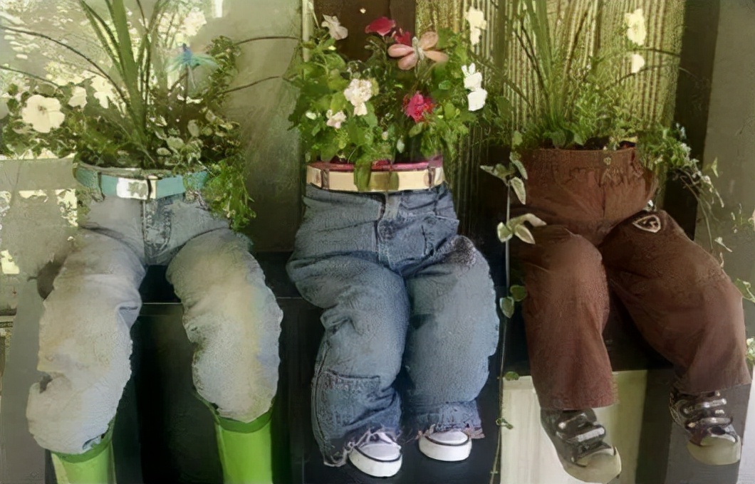 你给花草安的“家”舒心吗？