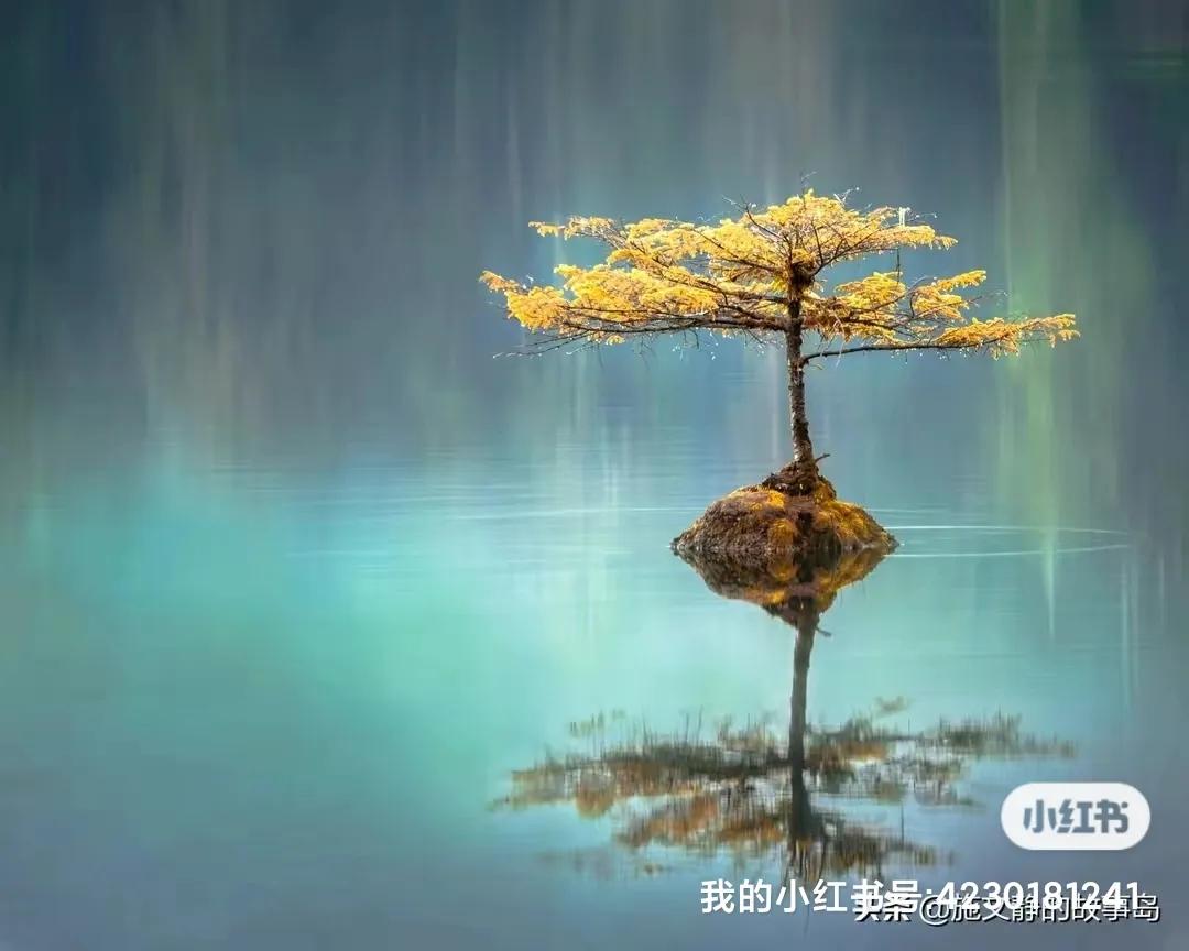 走出困境励志古诗词,走出困境书籍