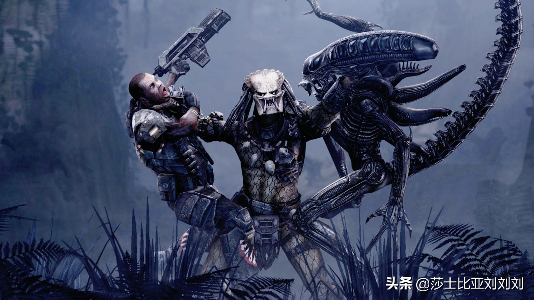 铁血军人深度解析,一口气讲完铁血战士