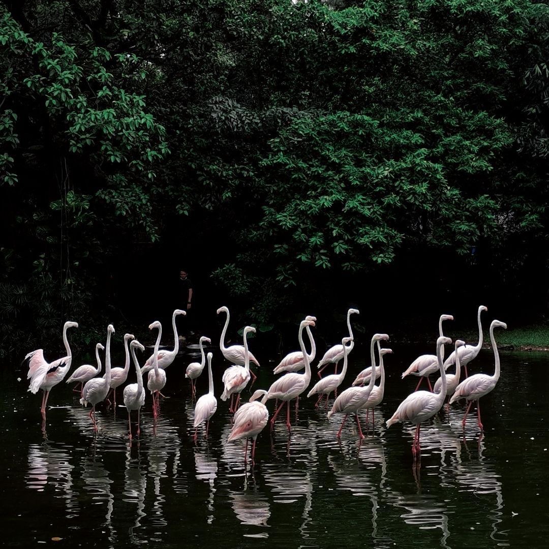 女生背景图ins高级质感,ins风简易名片背景图