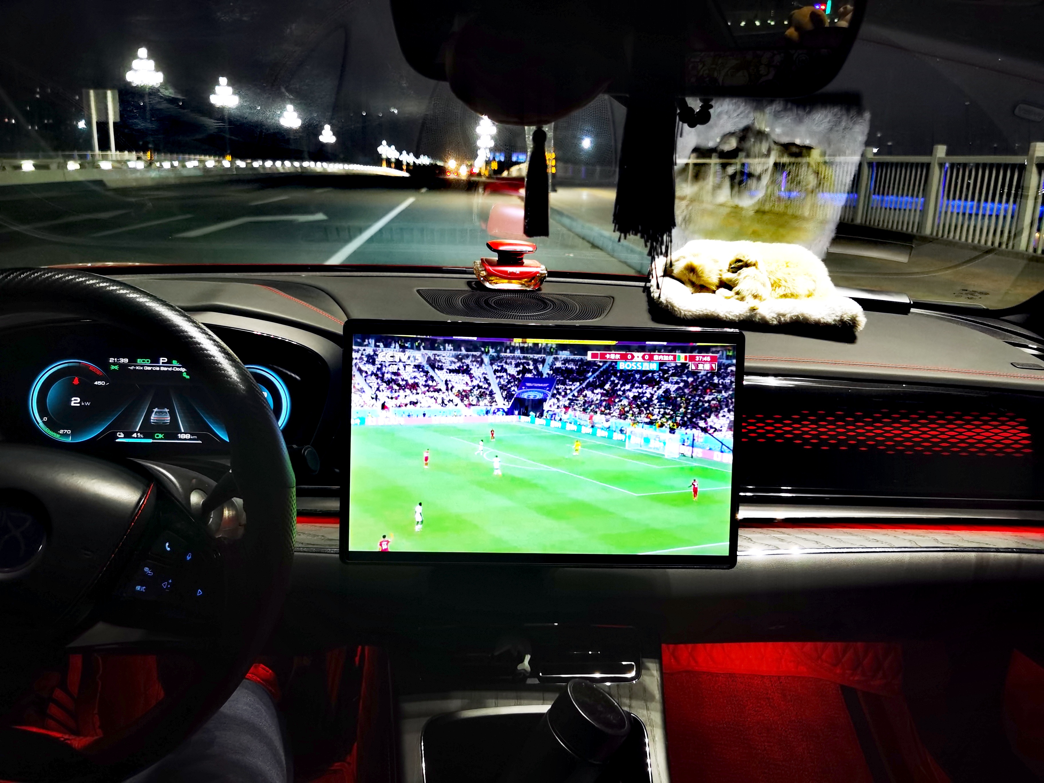 绽放巴黎在哪儿看,2022世界杯看球最好的位置