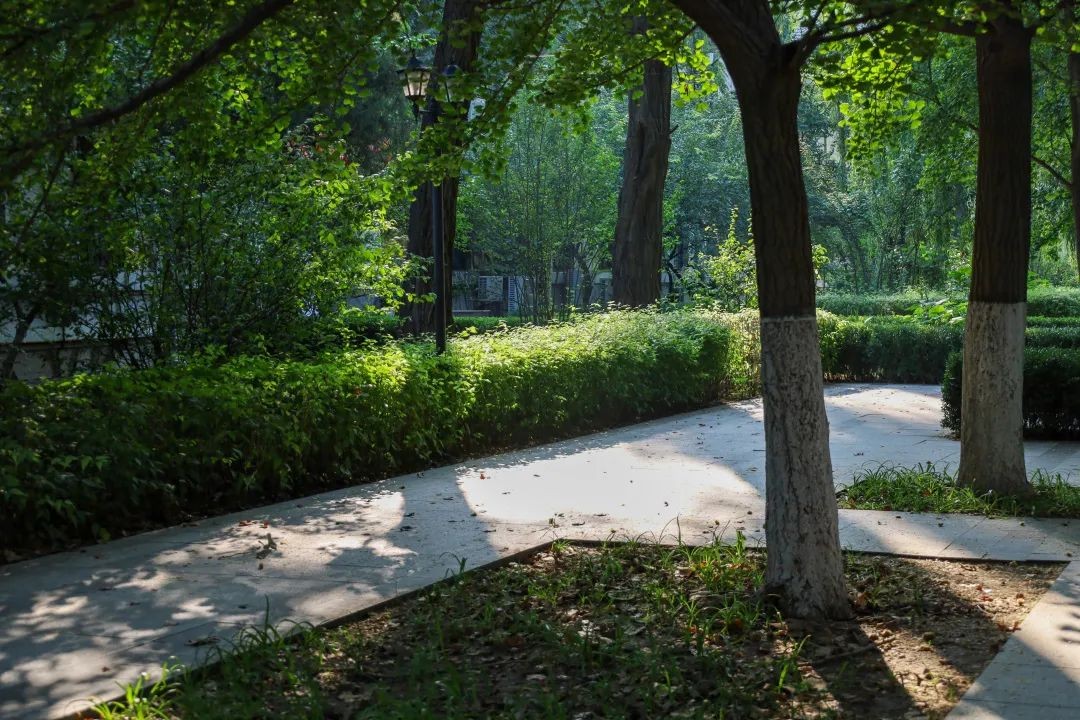 北京名校520“硬核”告白：院士领航，专业“上新”，超美校园邀你赴约！