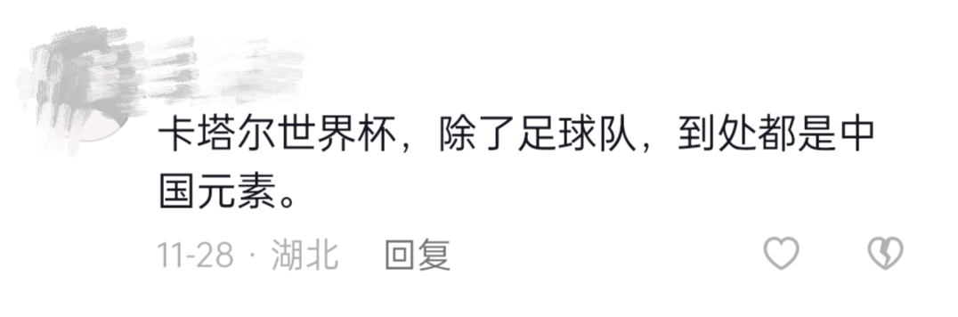 世界杯中国护旗手,世界杯中国云南护旗手