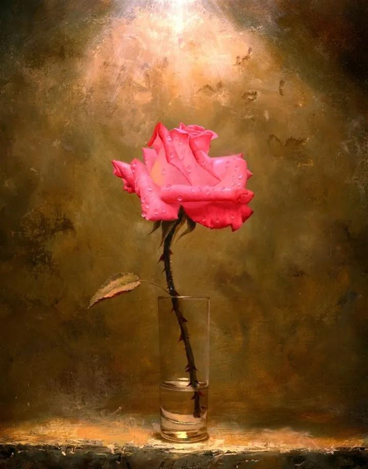 玫瑰花ins高级质感背景图,玫瑰花背景图高清图