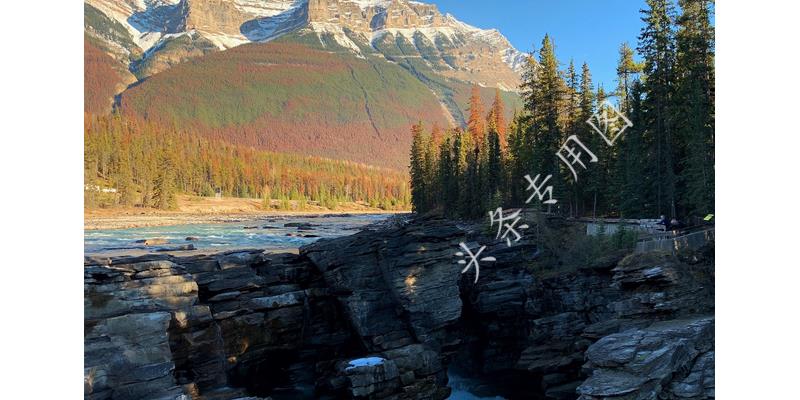 人老了没办法自理,人老了不能自理就自己解决