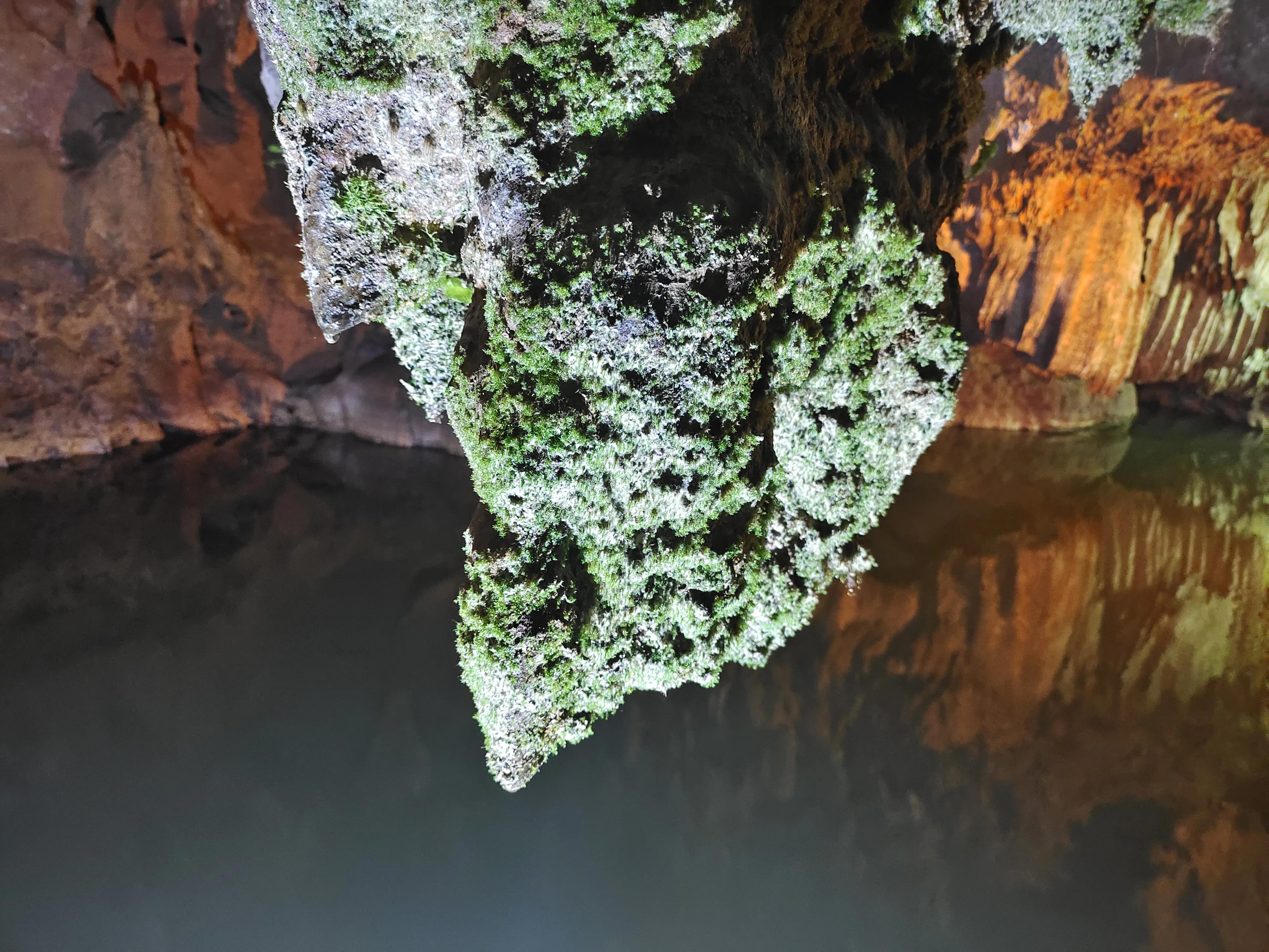 重庆张关水溶洞风景区还在开吗,重庆张关水溶洞平面示意图