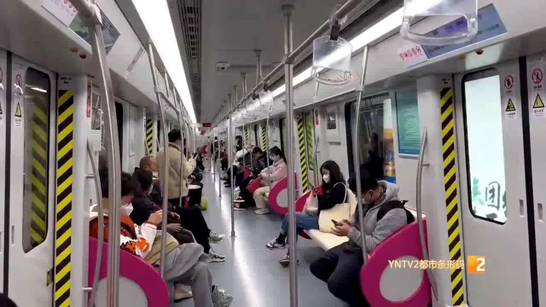 仓鼠坐地铁被发现,突然碰到仓鼠仓鼠被吓了一跳