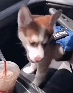 女厕的诡异之处,女厕所发现怪异男尸