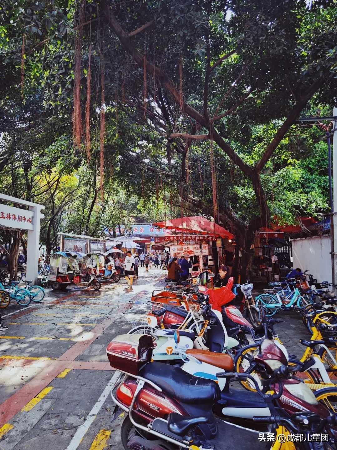 成都最值得逛的菜市场,成都必去的菜市场