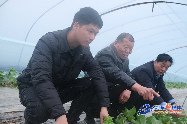 辛巴和辛选集团通过数字化赋能农产品市场，壮大集体经济助农增收