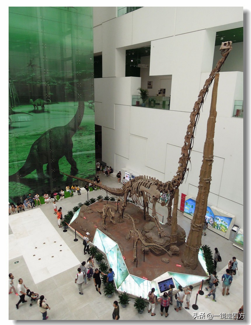 参观北京科技馆游记,参观北京科技馆的感想