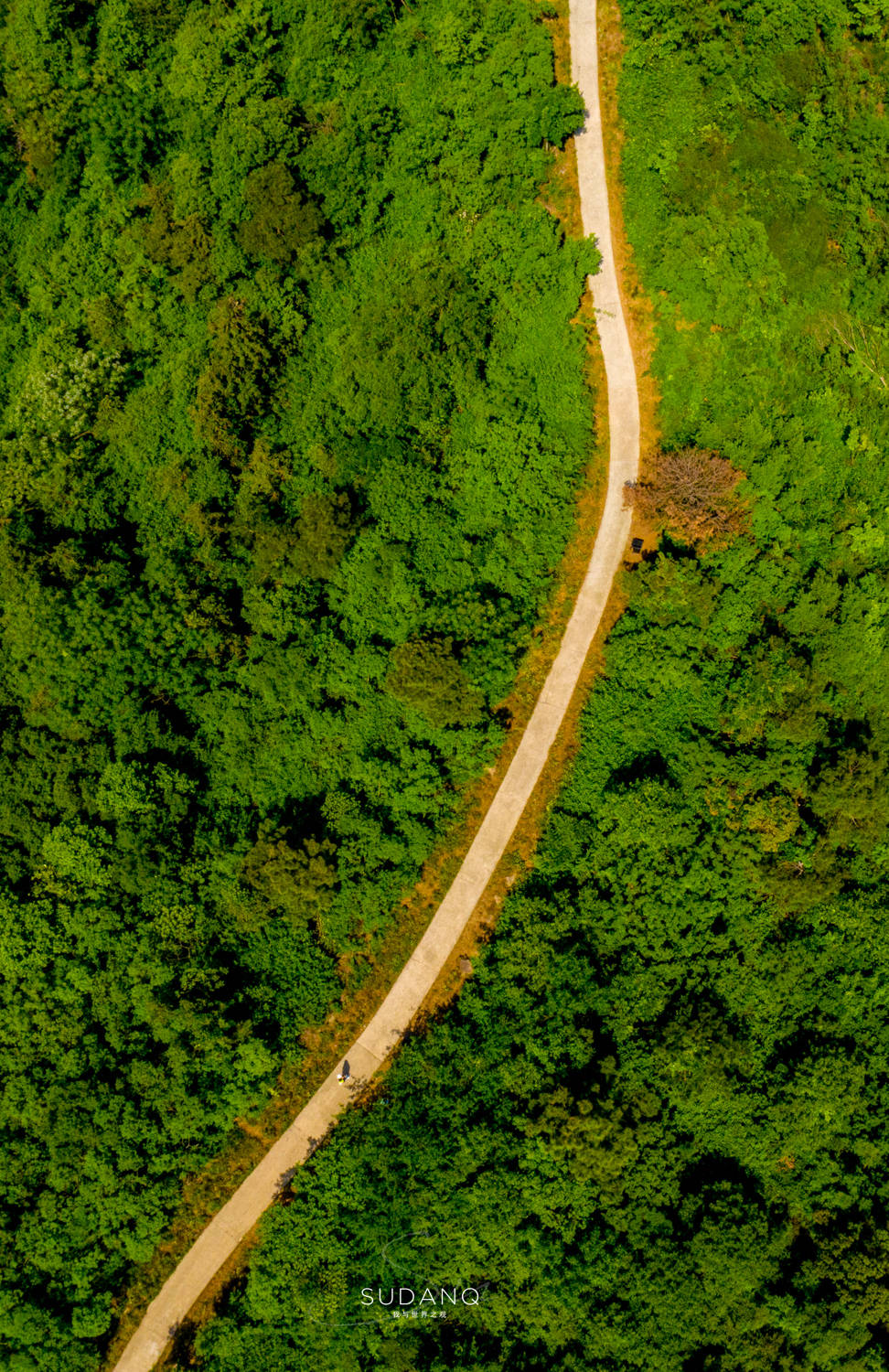 武汉历史上最悠久的地方,武汉历史底蕴