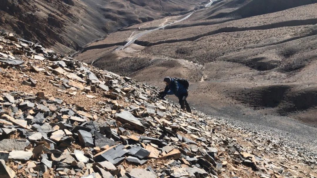 我国海拔最高的输变电工程,世界海拔最高的输变电工程
