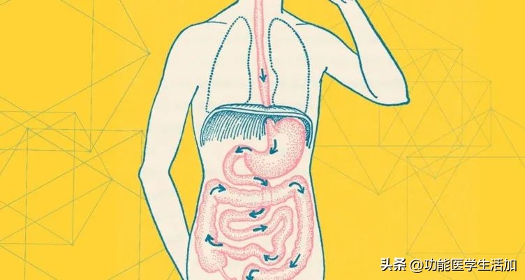 世界糖尿病日带您走进甜蜜陷阱,世界糖尿病日的原因是什么