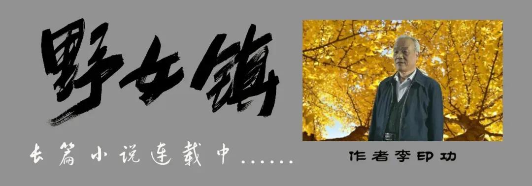 原创首发｜《野女镇》第57章：老婆从天而降