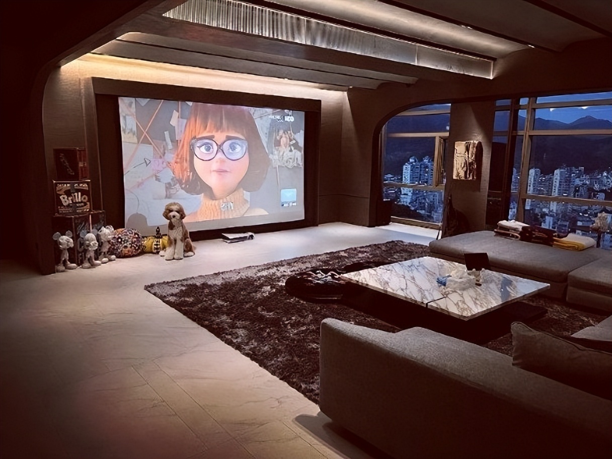 罗志祥晒绝密珍藏玩具：数百双鞋价值几百万，一张地毯价值不菲