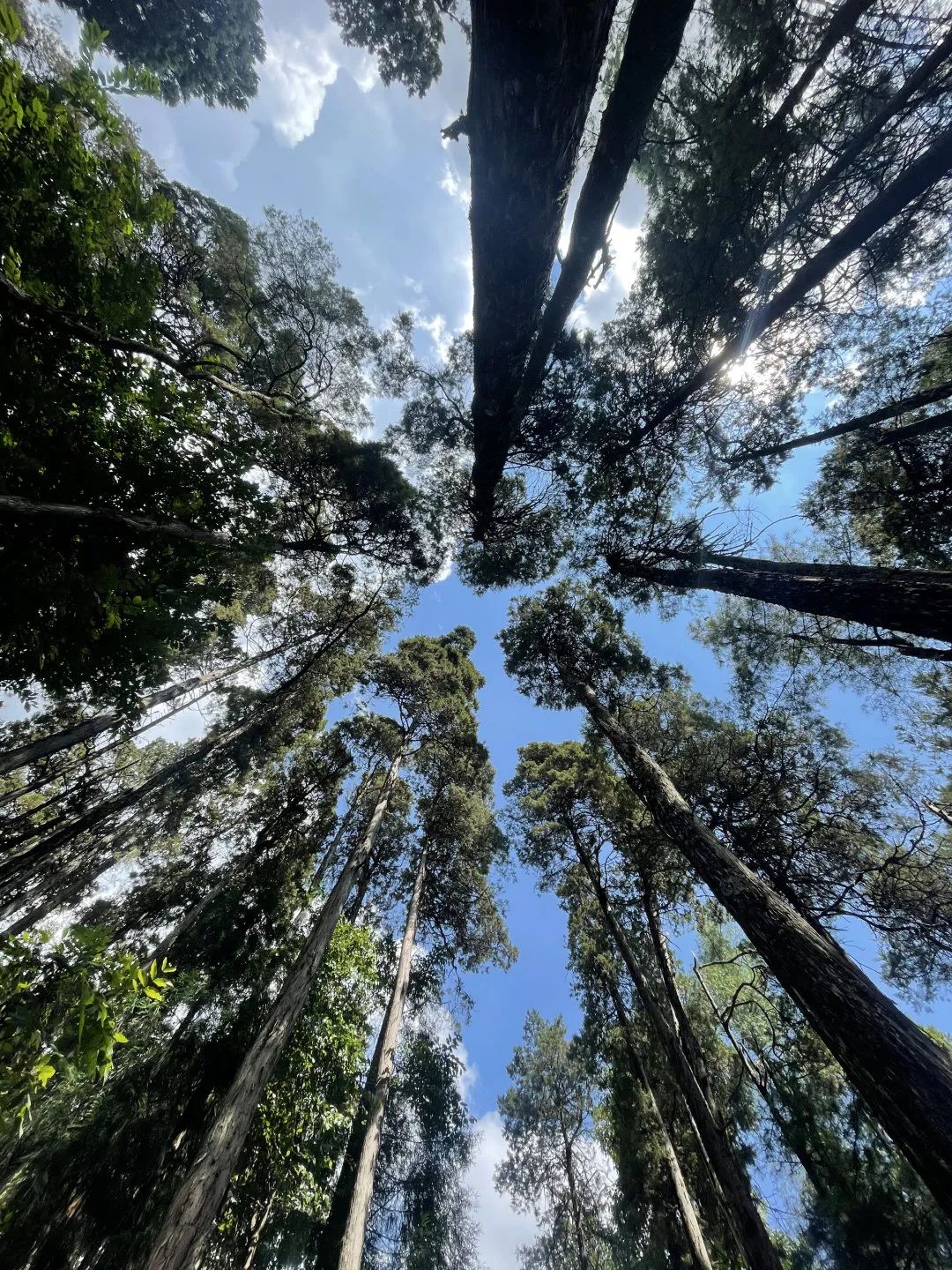 云南大理山,云南一日游日记