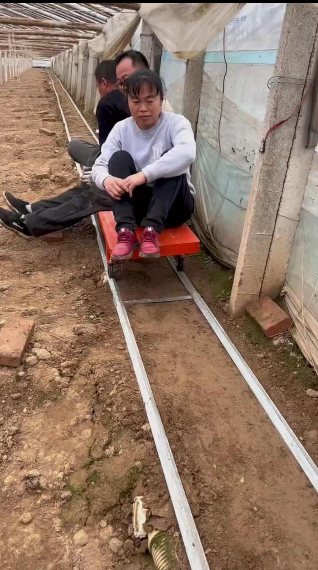 600米长大棚占地7亩猜一年挣多少钱？大叔运蔬菜棚内开火车，啥样