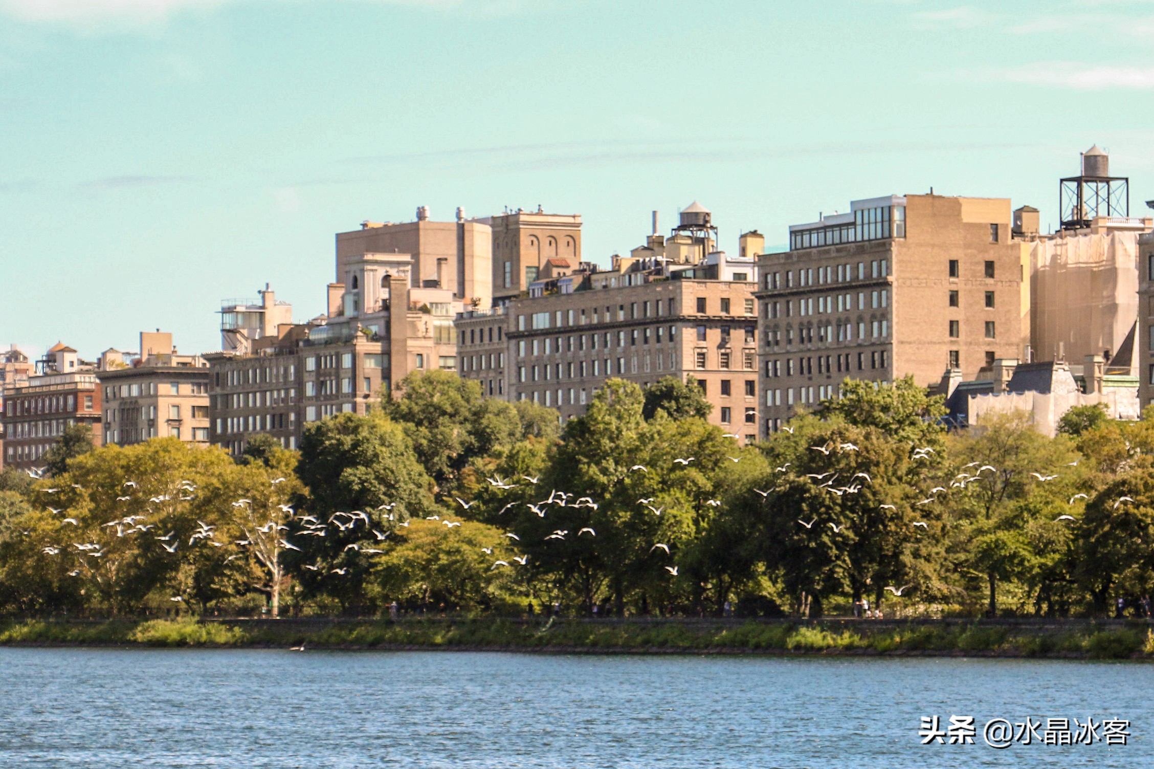 美东加东行（一）——纽约