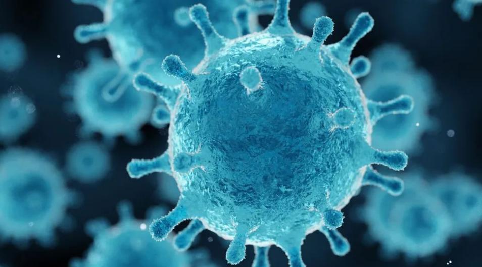 孩子经常感冒抵抗力差是什么原因,小孩抵抗力差老是感冒有没有食疗