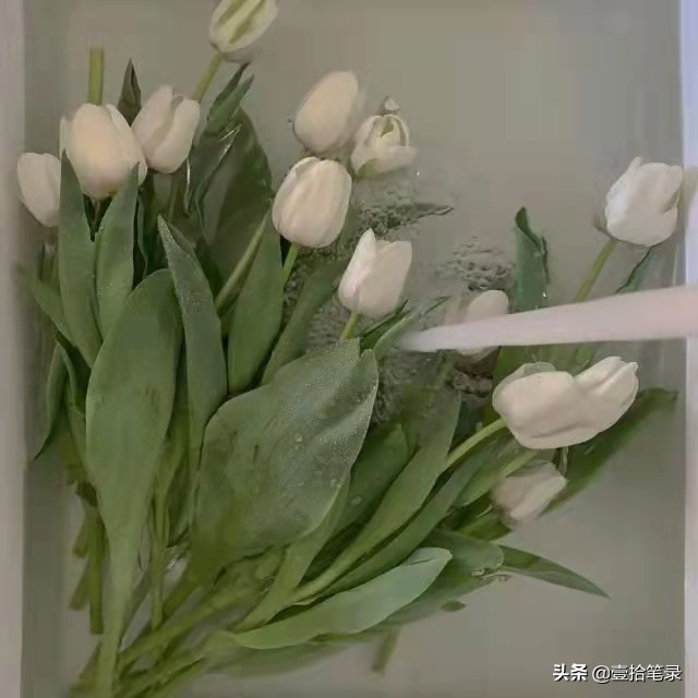 分手后忍不住想联系女朋友怎么办,分手了忍不住联系前男友怎么办