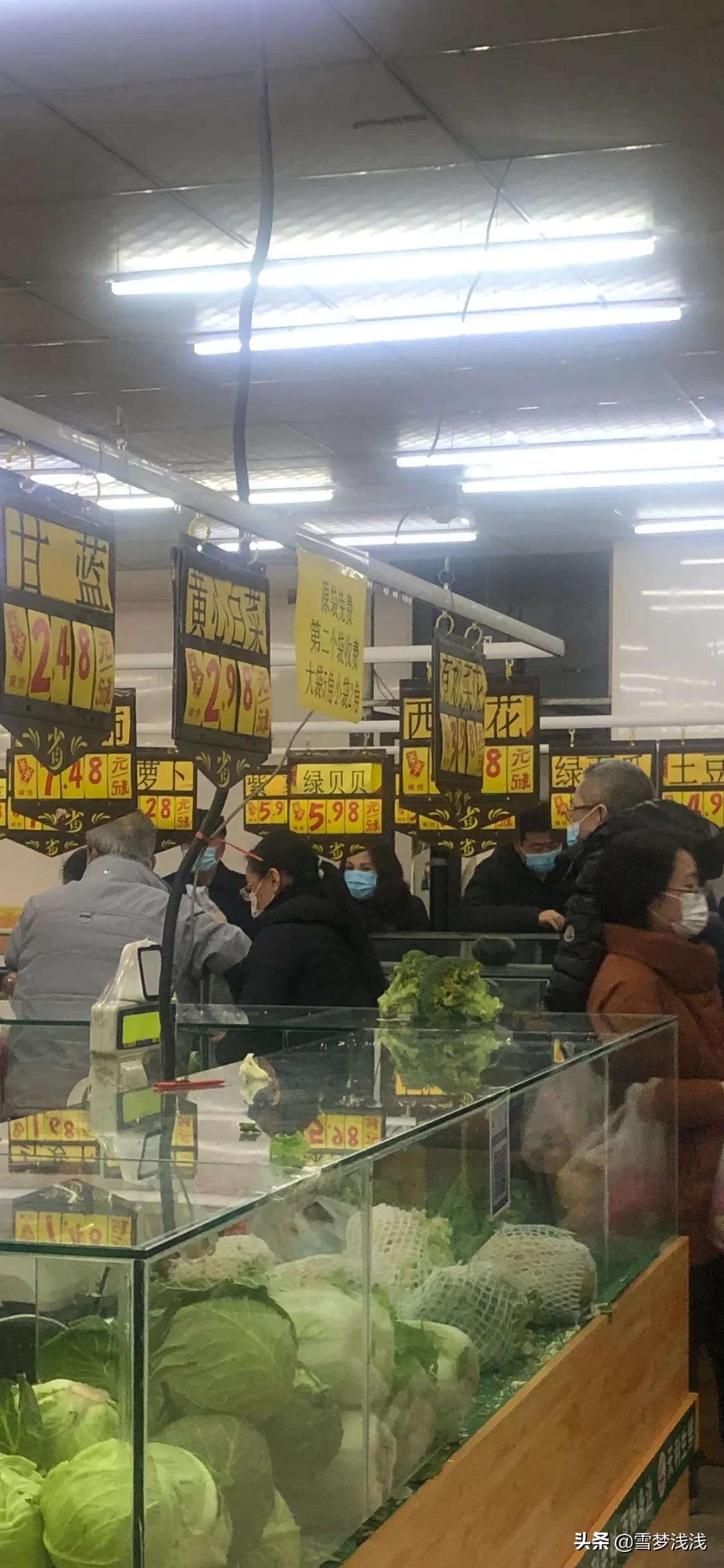 吉林白菜最新价格,吉林80元一棵的白菜