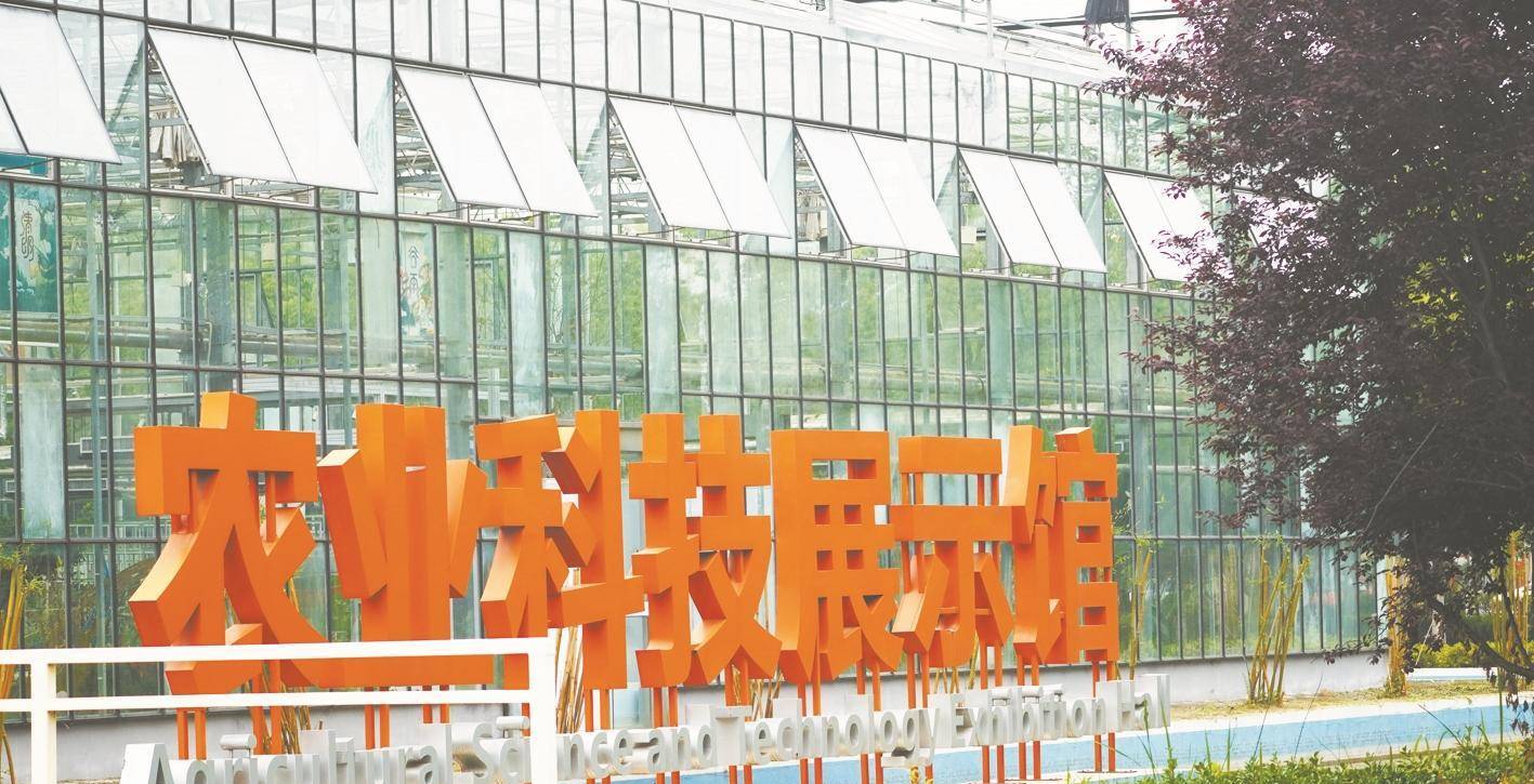 武汉科技创新发展取得成就,武汉科技创新公司排名