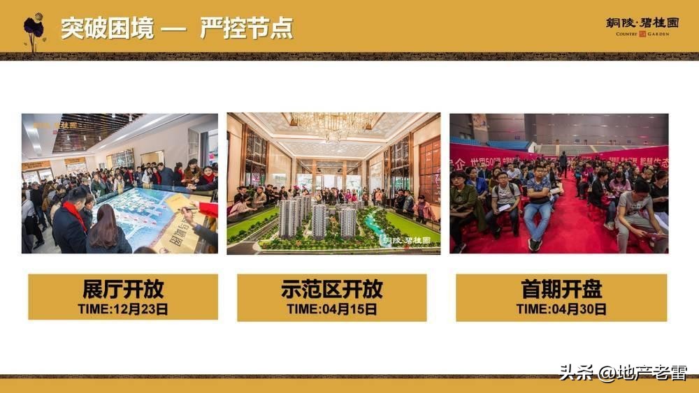 碧桂园房地产竞品分析,碧桂园房地产价格策略