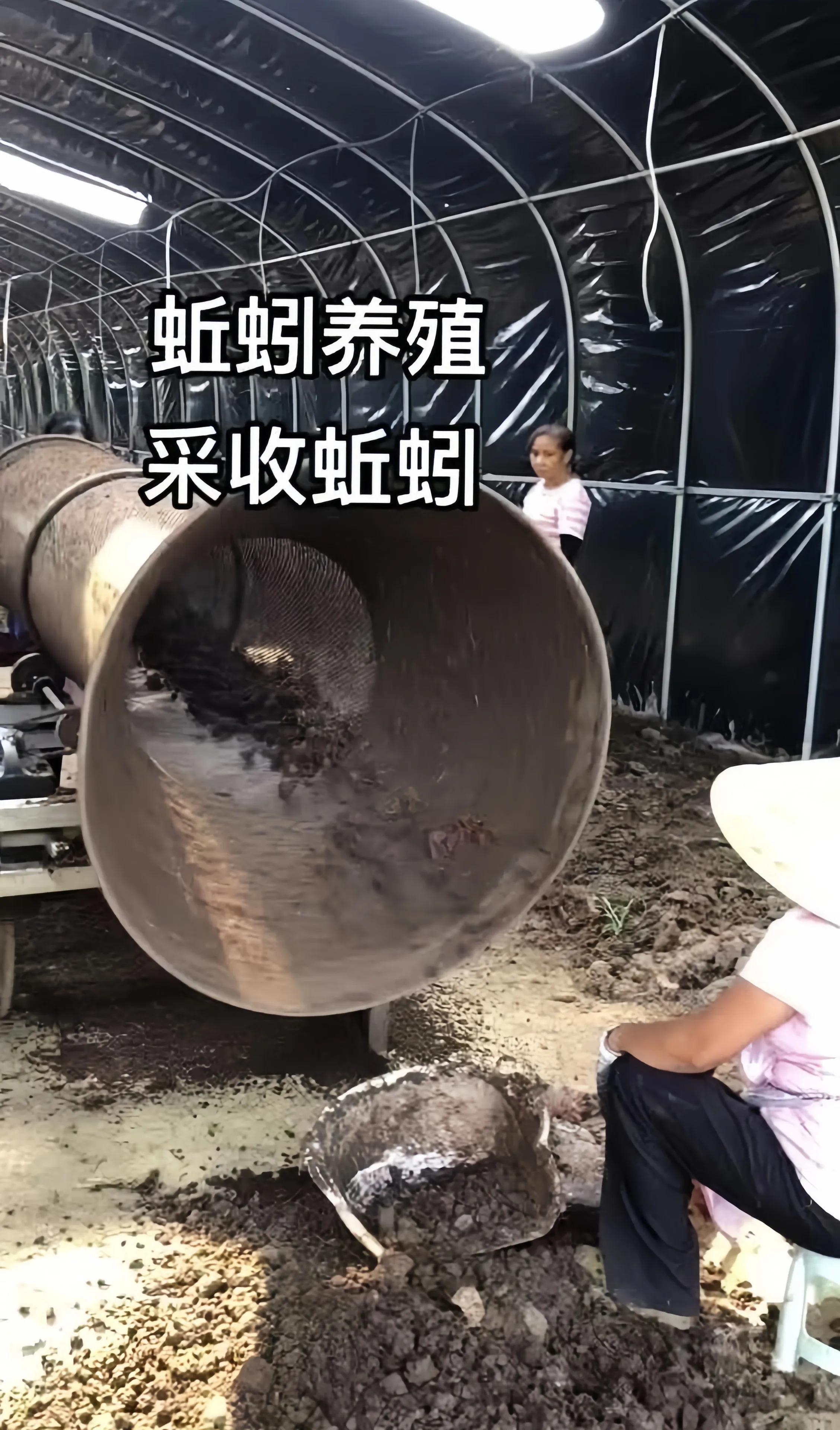 农村100亩地种小麦挣钱吗,承包一百亩地种菜一年能赚多少