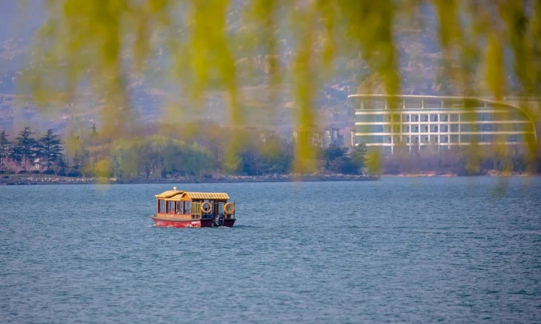 济南的春天来了吗,济南春天来了