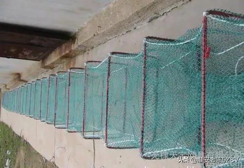 地笼捕小龙虾方法,养殖户如何用地笼多捕小龙虾