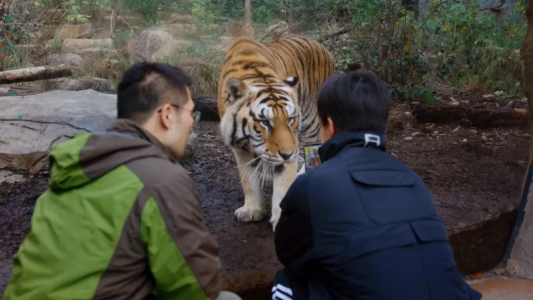 帮聋哑走失人员寻亲,帮走失聋哑人寻亲