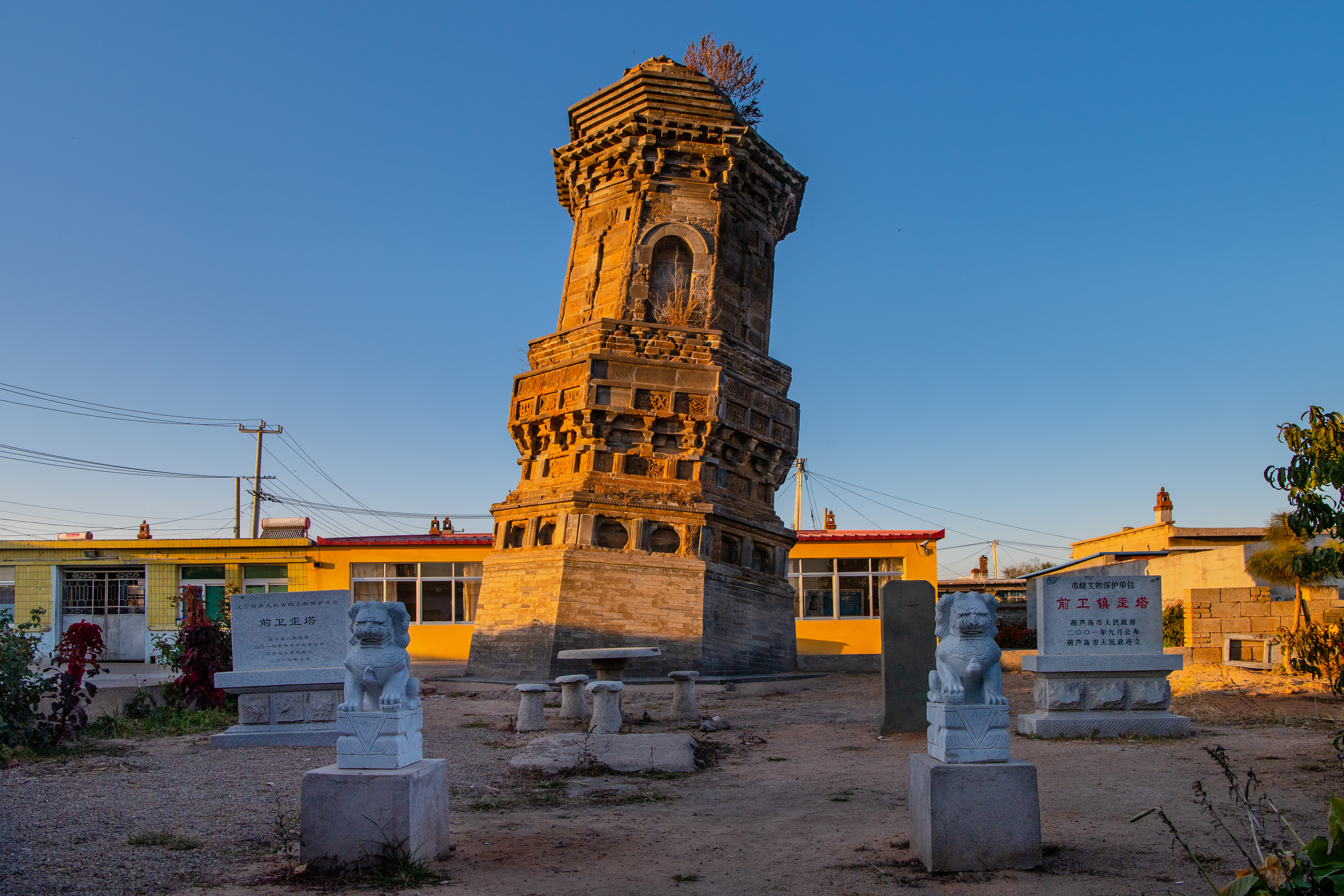 老许游记大全,老许游记第四天完整版