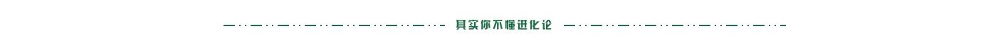 其实你不懂进化论:揭开进化论的面纱,哲科巨匠们的思想碰撞