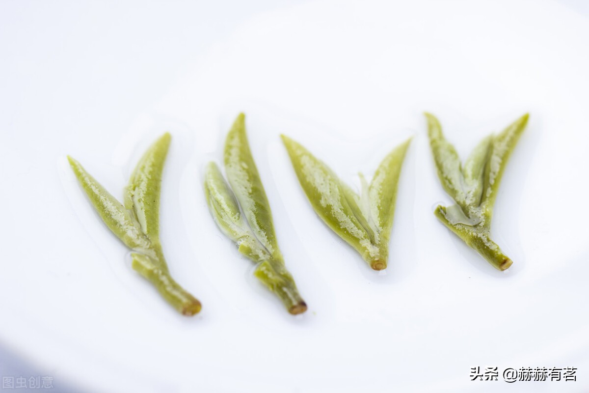 茶叶高温杀青好还是中温杀青好,茶叶光波杀青和蒸汽杀青哪个好