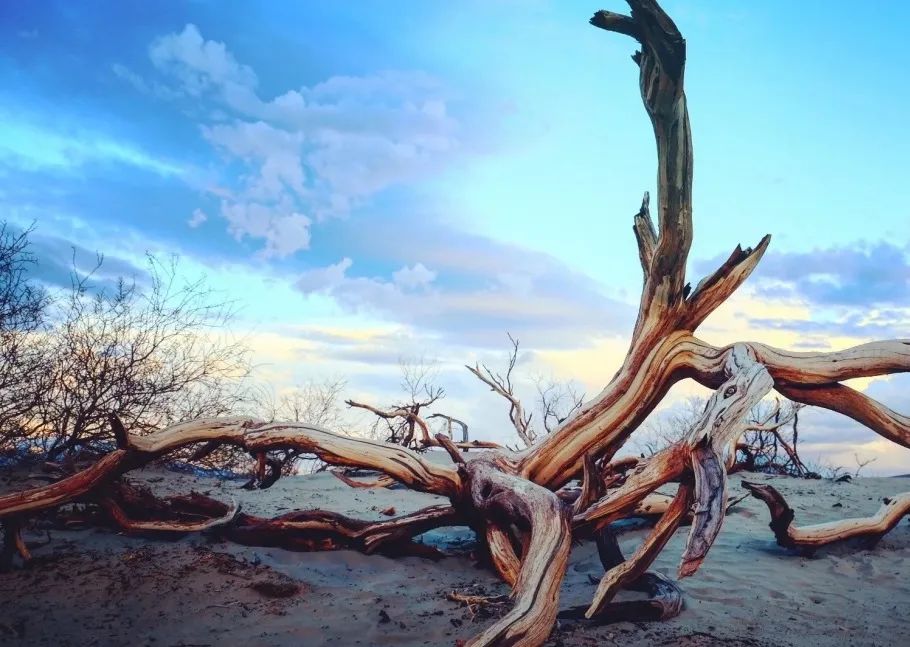 避开人潮的最佳角落,避开人潮打卡的地方
